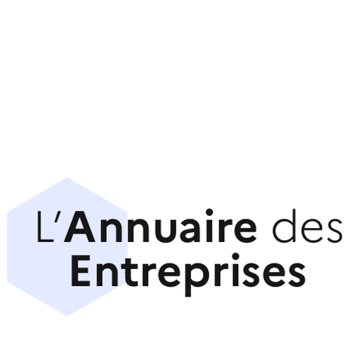 L Annuaire Des Entreprises
